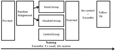 Music and Visual Art Training Modulate Brain Activity in Older Adults